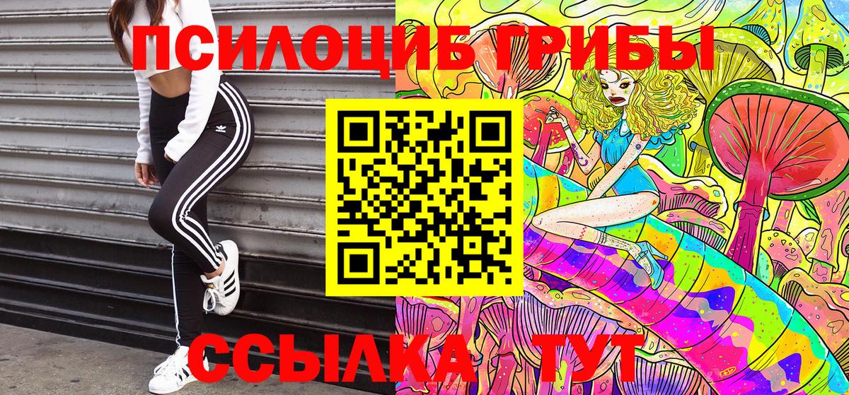 Галлюциногенные грибы Magic Shrooms  Вход с VPN  где можно купить наркотик  Псилоцибиновые грибы Psilocybe  Майкоп 