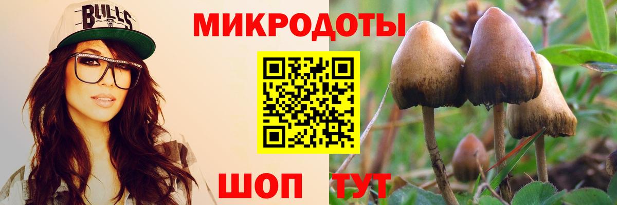 Галлюциногенные грибы ЛСД Майкоп